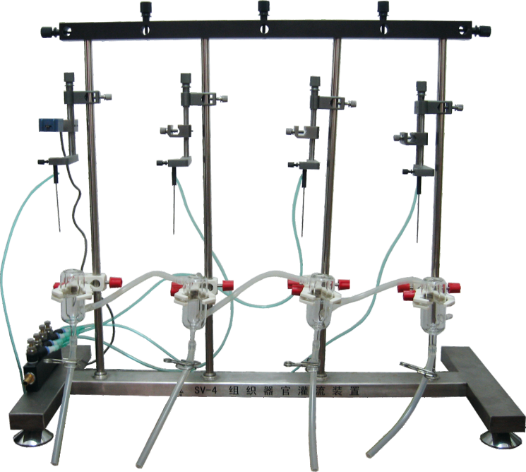 离体组织器官恒温灌流系统