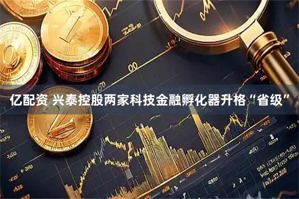亿配资 兴泰控股两家科技金融孵化器升格“省级”