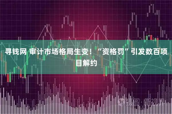 寻钱网 审计市场格局生变！“资格罚”引发数百项目解约