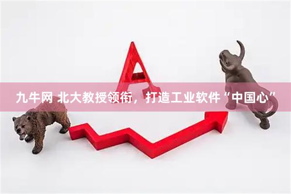 九牛网 北大教授领衔，打造工业软件“中国心”