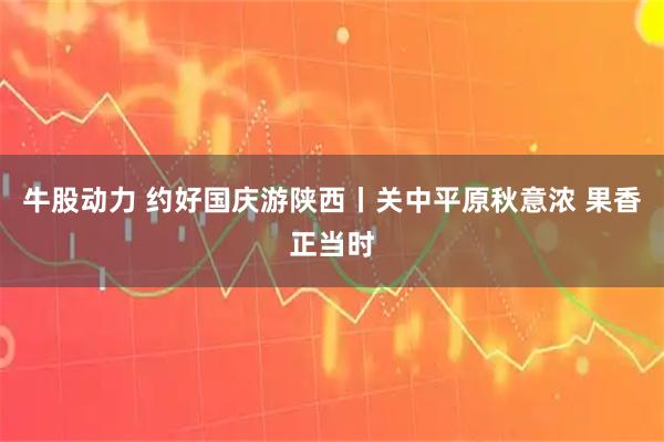 牛股动力 约好国庆游陕西丨关中平原秋意浓 果香正当时