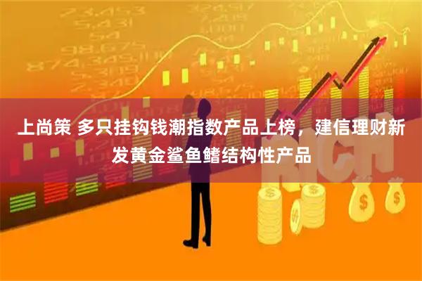 上尚策 多只挂钩钱潮指数产品上榜，建信理财新发黄金鲨鱼鳍结构性产品