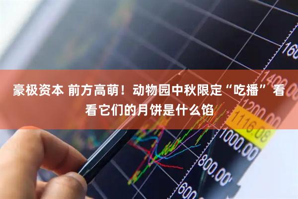 豪极资本 前方高萌！动物园中秋限定“吃播” 看看它们的月饼是什么馅