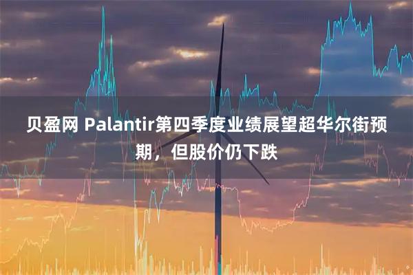 贝盈网 Palantir第四季度业绩展望超华尔街预期，但股价仍下跌