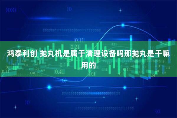 鸿泰利创 抛丸机是属于清理设备吗那抛丸是干嘛用的